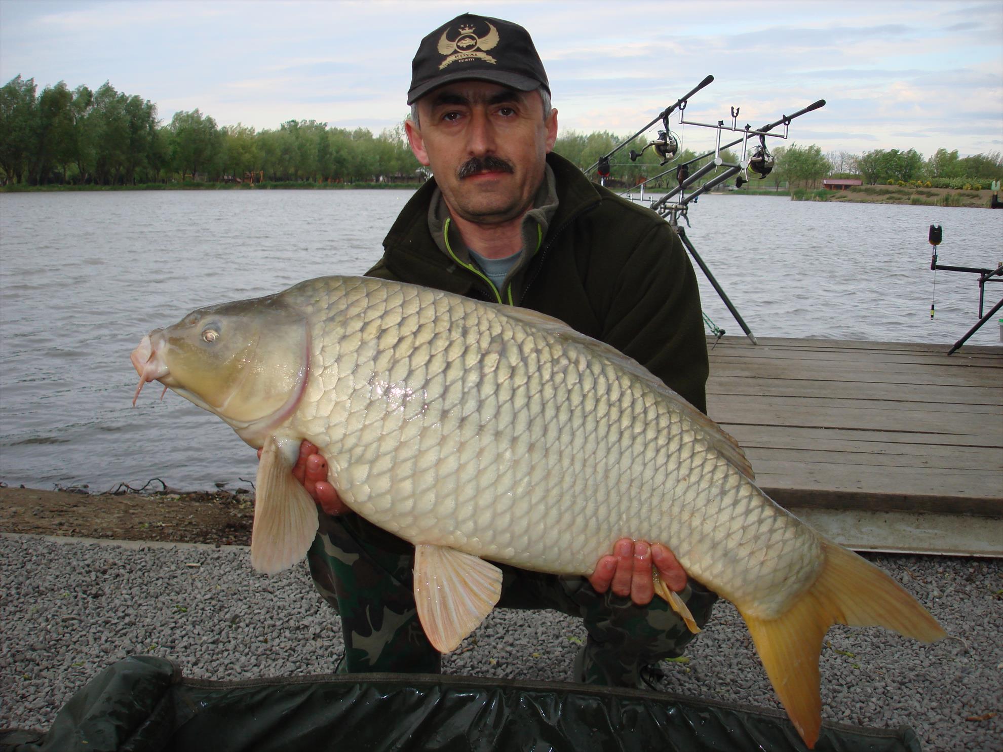 pescuit pe o balta superba - dsc06695.JPG